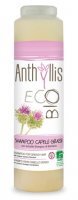 Anthyllis Eco Bio, szampon do włosów tłustych, przetłuszczających się i z łupieżem, 250ml