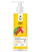 Ideepharm Botanic Origin, szampon odżywczy z mango i keratyną, 300ml