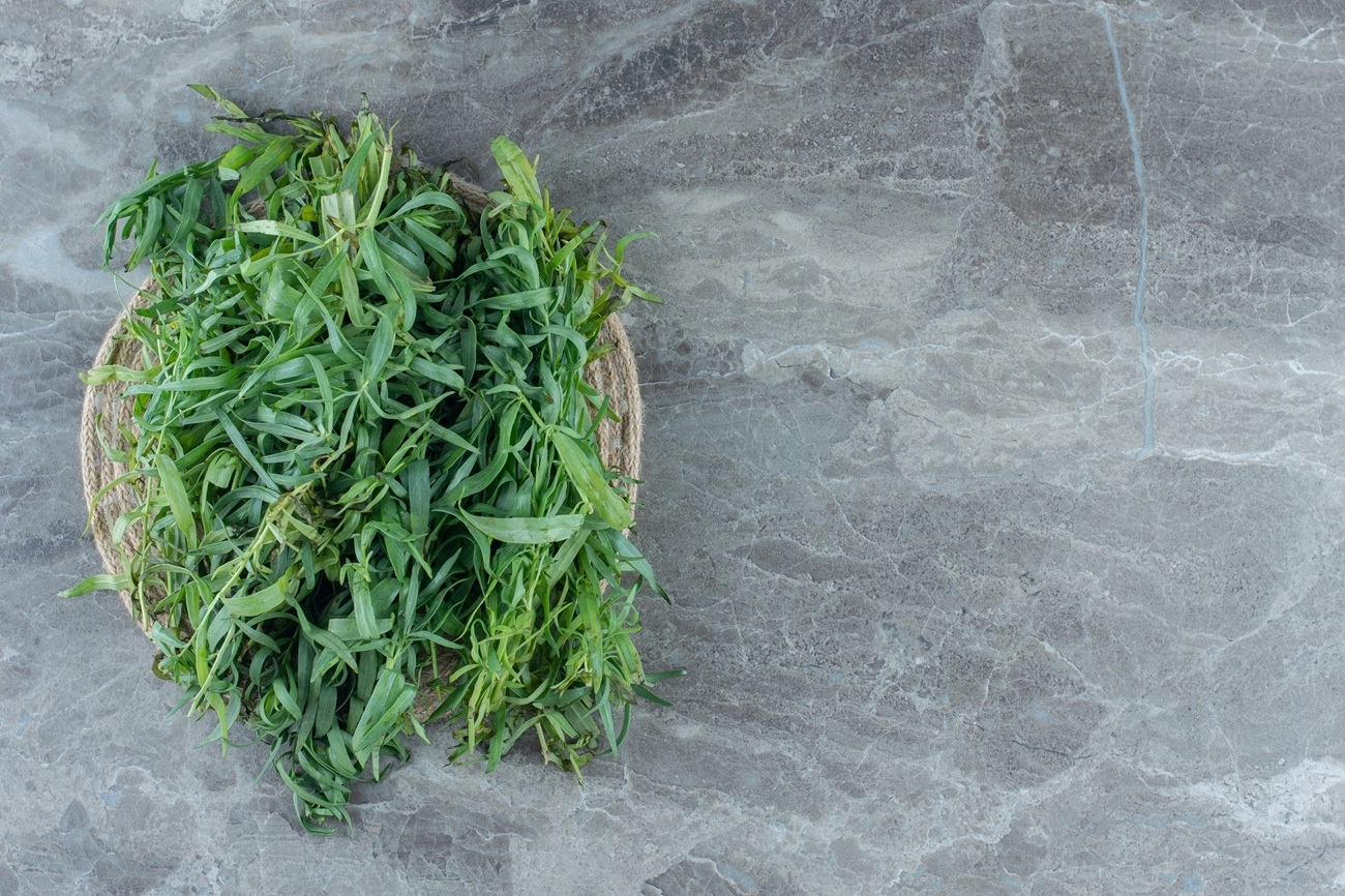 Bylica piołun - właściwości. Czy jest bezpieczna?