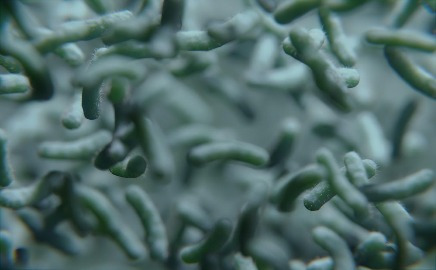 Helicobacter pylori – czym grozi zarażenie bakterią?
