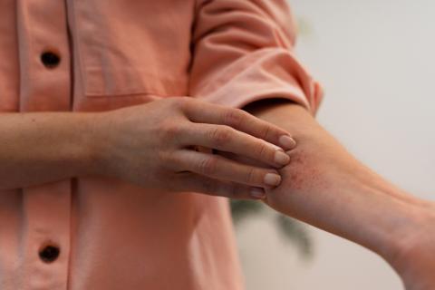 Zdjęcie artykułu
