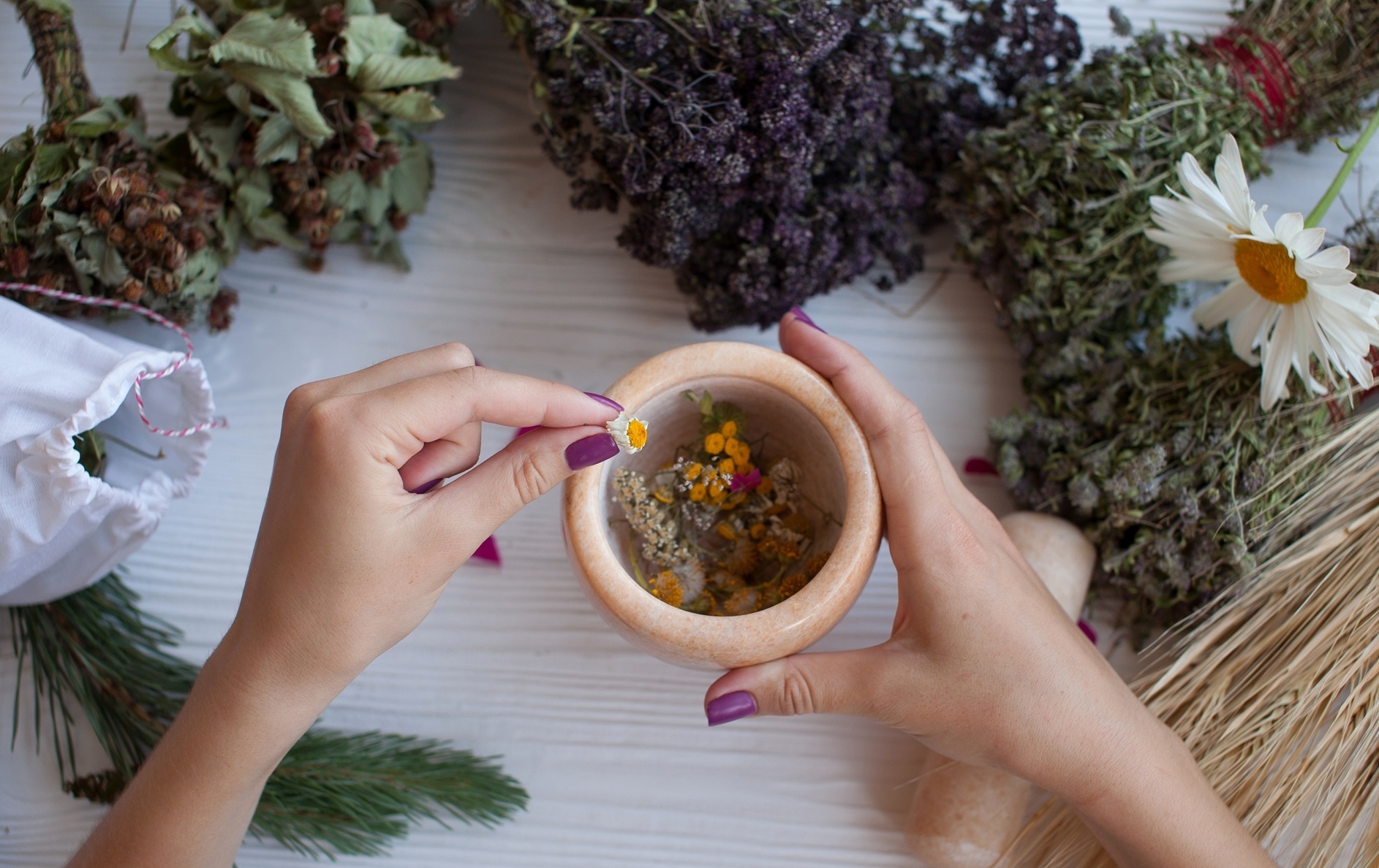 Ranking adaptogenów – które zioła najlepiej wspierają odporność na stres?