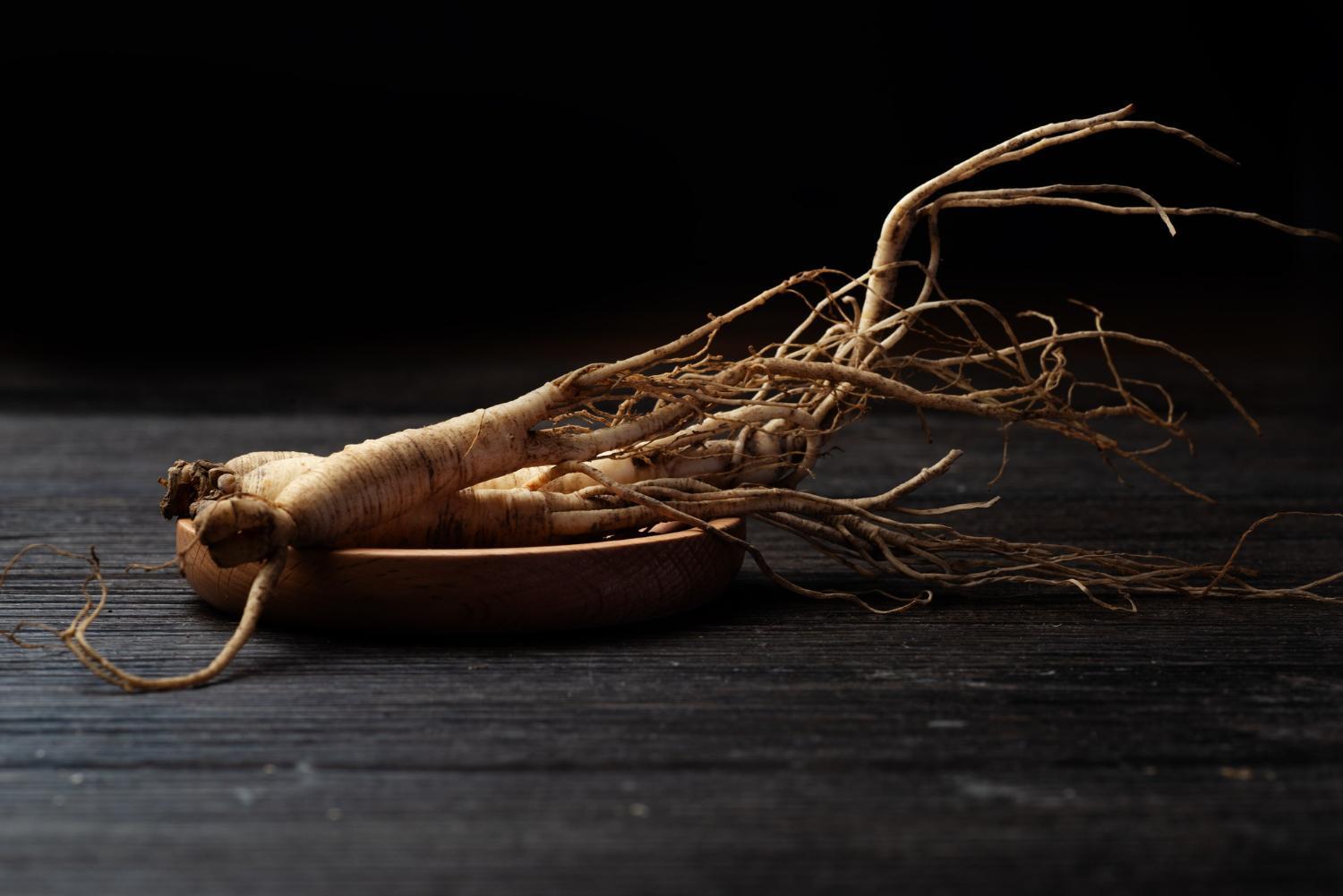 Żeń-szeń – zastosowanie, właściwości. Na co pomaga?