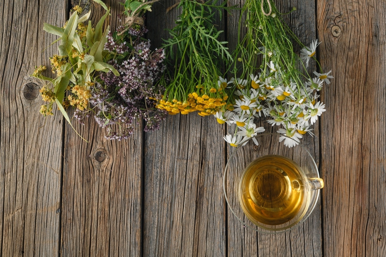 Zioła i naturalne środki na uspokojenie – co znajdziesz w aptece?