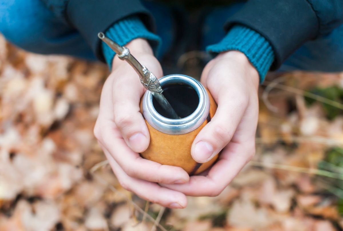 yerba-mate
