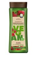 Joanna Vegan, szampon nabłyszczający z octem malinowym, do każdego rodzaju włosów, 300ml