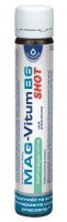 Mag-Vitum B6 Shot Ashwagandha, płyn, smak pomarańczowy, 25ml