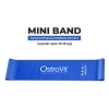 OstroVit, gumy treningowe, 4 sztuki + worek