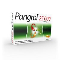 Pangrol 25 000, 20 kapsułek